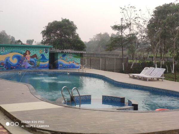 Ashma Custom Shape Swimming Pool