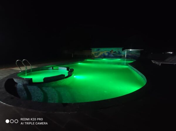 Ashma Custom Shape Swimming Pool - Image 3