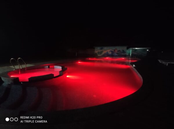 Ashma Custom Shape Swimming Pool - Image 2